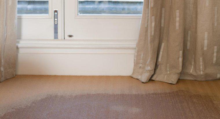 Como você remove o cheiro de mofo do tapete?