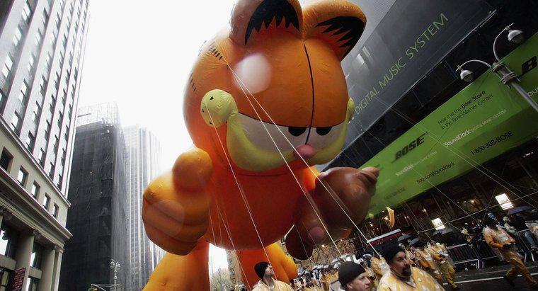 Que raça de gato é Garfield?