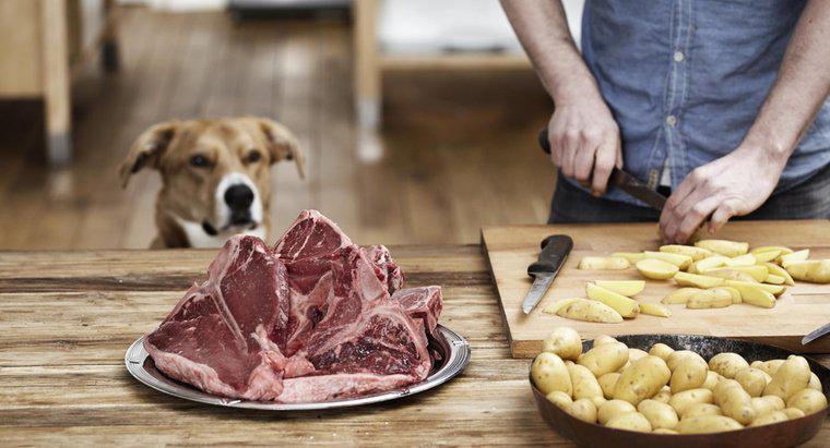 Os cães podem comer ossos de bife?