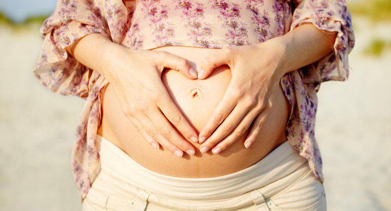 Posso menstruar durante a gravidez?