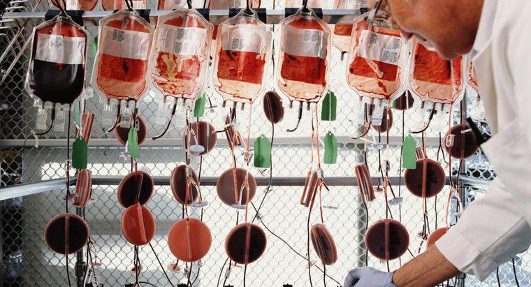 Como o sangue oxigenado se torna desoxigenado?