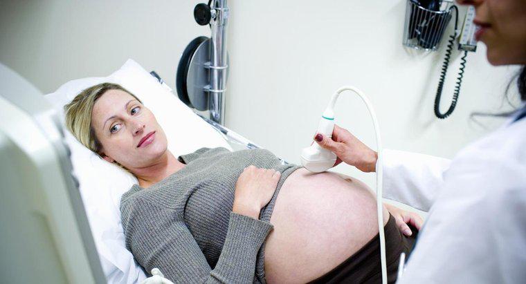 Qual é a taxa de pulso de mulheres grávidas?