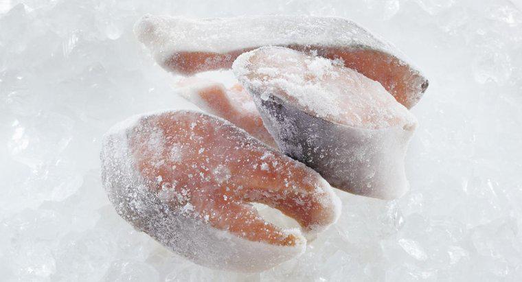 Quanto tempo dura o peixe descongelado?