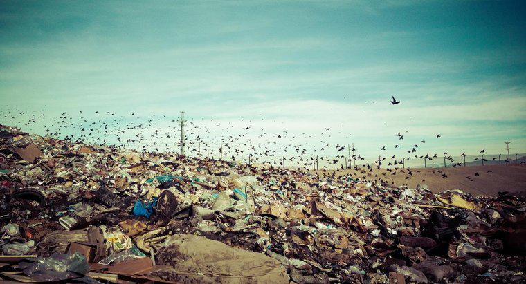 Qual é a definição de não biodegradável?