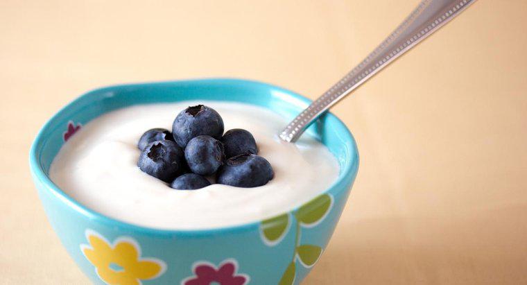 Quais são as principais marcas de iogurte sem lactose?