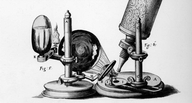 Qual foi a contribuição de Robert Hooke?