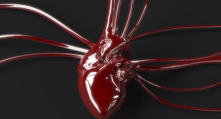 Qual é a diferença entre sangue arterial e venoso?