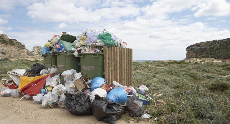 Quais são alguns dos efeitos do descarte inadequado de resíduos?