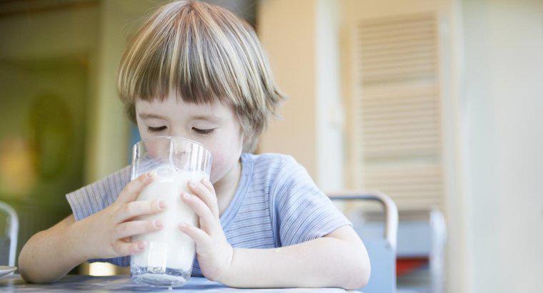 Você pode beber leite enquanto toma antibióticos?