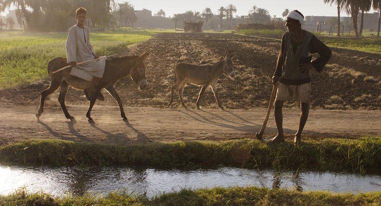Por que o vale do rio Nilo foi bom para a agricultura?