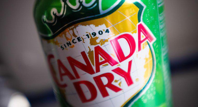 O Canada Dry Ginger Ale contém cafeína?