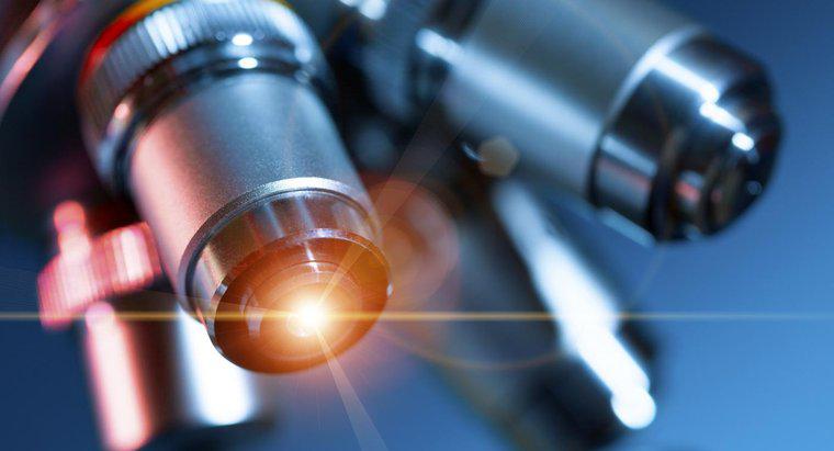 Para que serve um microscópio óptico?