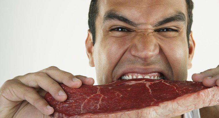 Quanto tempo leva para a carne ser digerida no corpo humano?