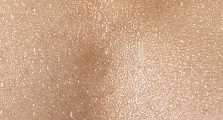 O que a pele excreta?