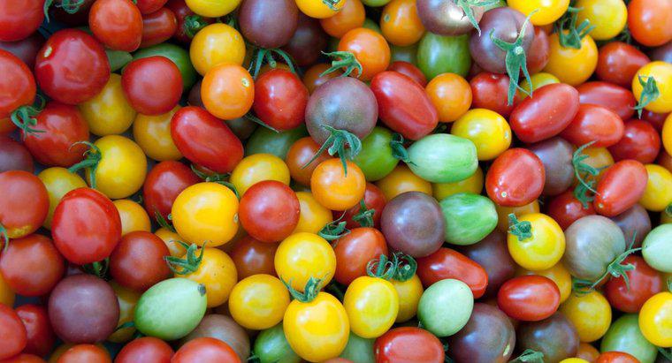 Os tomates contêm ácido cítrico?