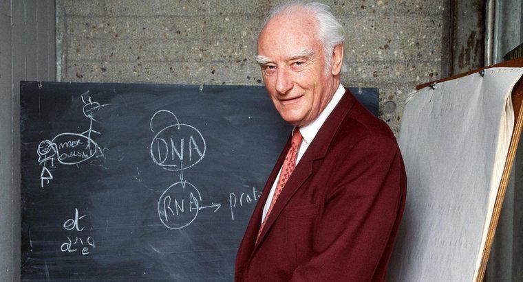 Francis Crick usava LSD?