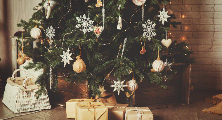 Por que decoramos com árvores de Natal?