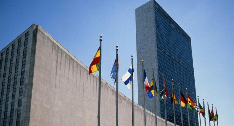 Por que as Nações Unidas foram formadas?