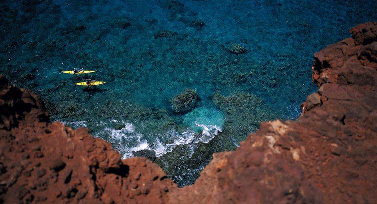 Qual é o tipo de solo para um recife de coral?