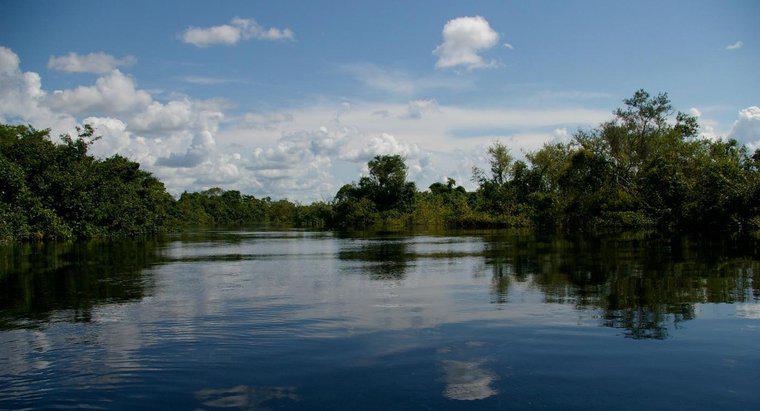 Quais são os usos do rio Amazonas?