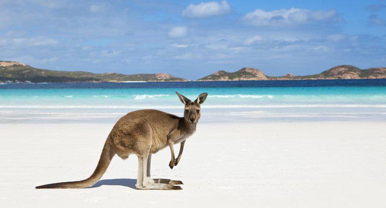 Quais são os dois oceanos que tocam a Austrália?
