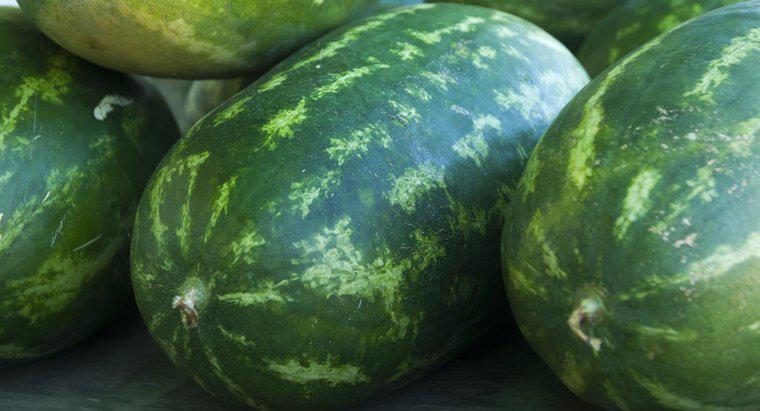 Onde a melancia é cultivada no mundo?