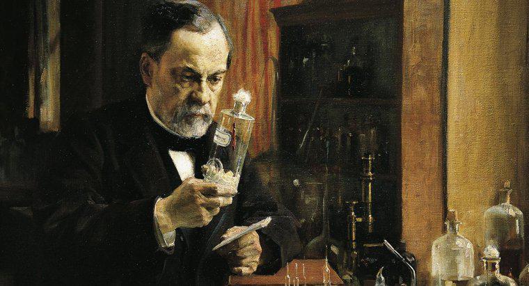 Louis Pasteur tinha irmãos ou irmãs?