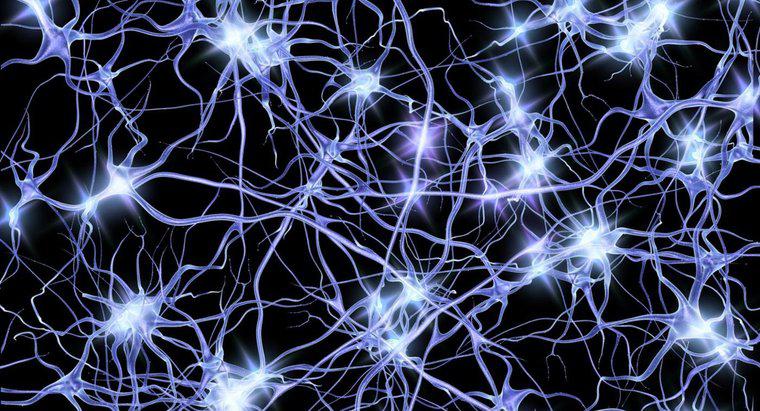 Como os neurônios transmitem impulsos elétricos?