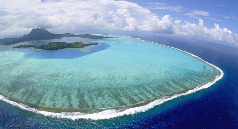 Como é chamada uma ilha de coral em forma de anel?