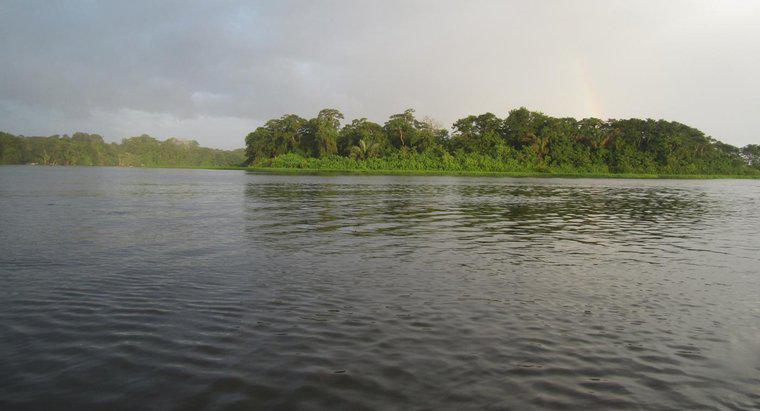 Por que o rio Amazonas é importante?