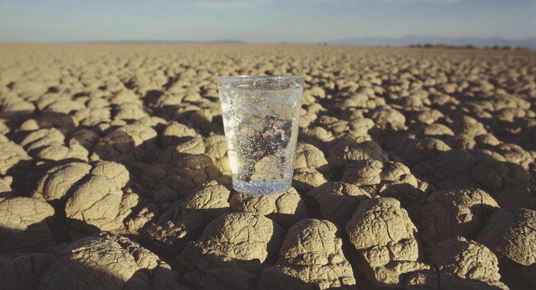 Quantos dias um ser humano pode sobreviver sem água?