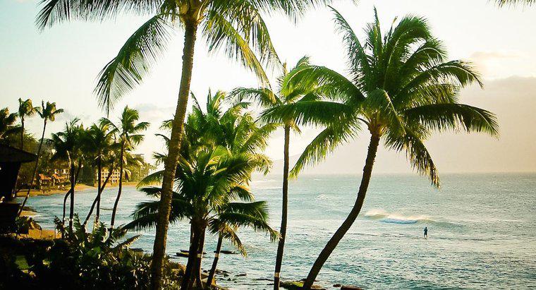 Quais são algumas curiosidades sobre o Havaí?