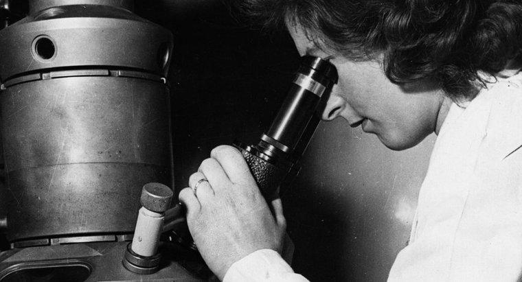 Quem inventou o microscópio eletrônico?