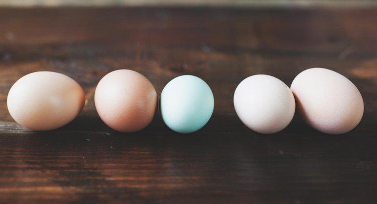 Quanto pesa um ovo?