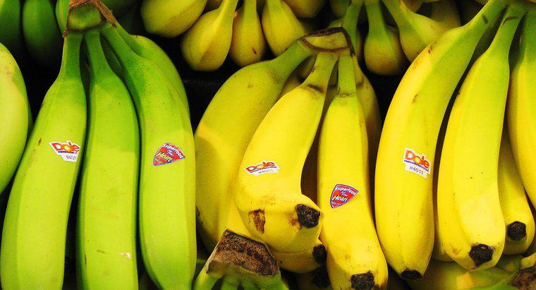 As bananas contêm ácido cítrico?