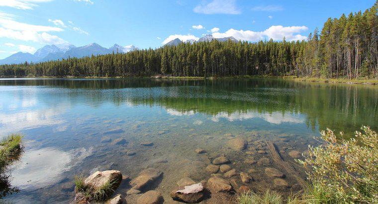 O que são fatores abióticos e bióticos em lagos?