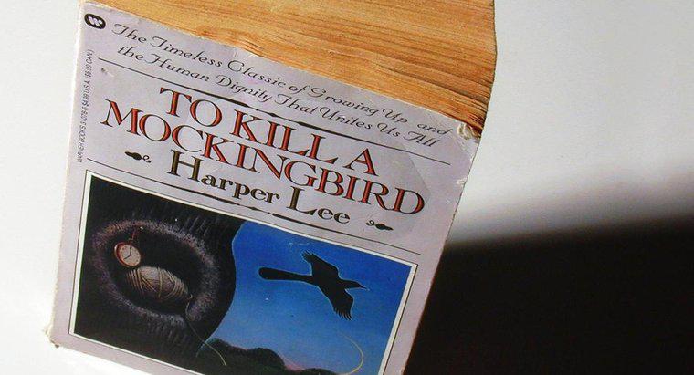 O que significa "To Kill a Mockingbird"?