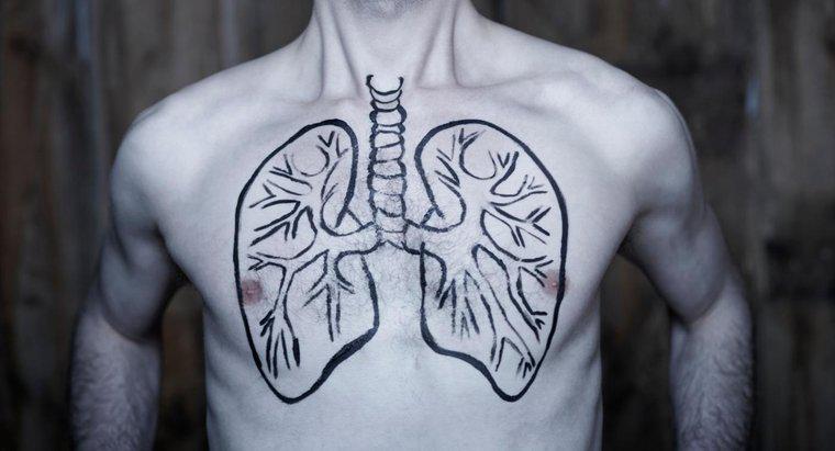 As pessoas podem viver com apenas um pulmão?