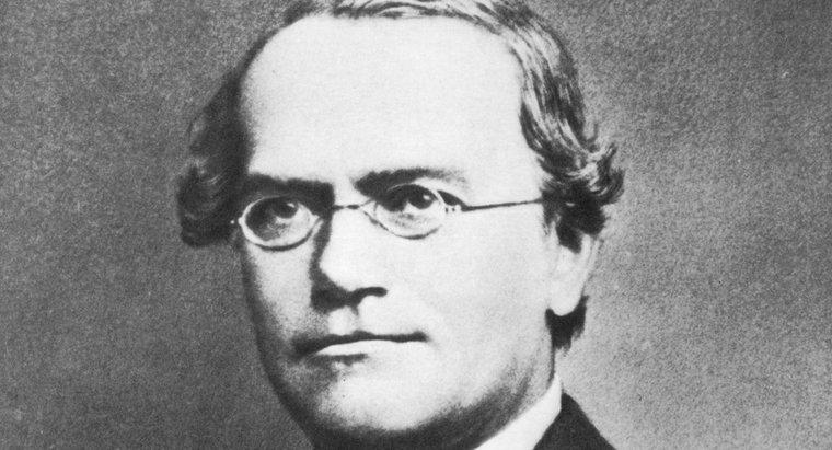 Por que Gregor Mendel é chamado de pai da genética?