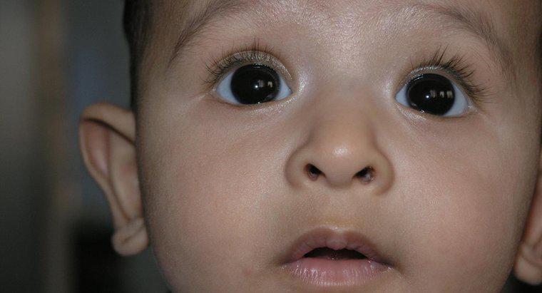 Os olhos crescem após o nascimento?