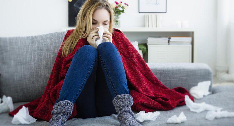 Quais são os sintomas do vírus da gripe?
