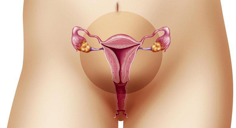 Qual é o intervalo normal de espessura endometrial?