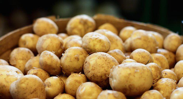Onde as batatas se originaram?