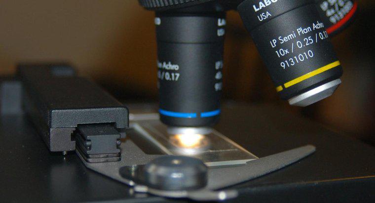O que é um diafragma no microscópio?