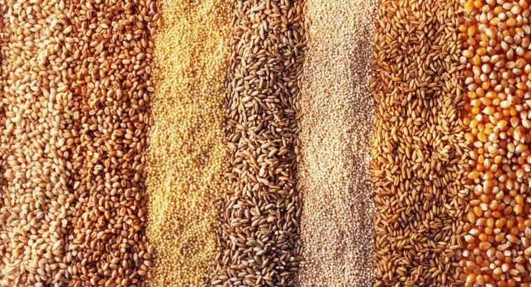Qual é a diferença entre cevada e trigo?