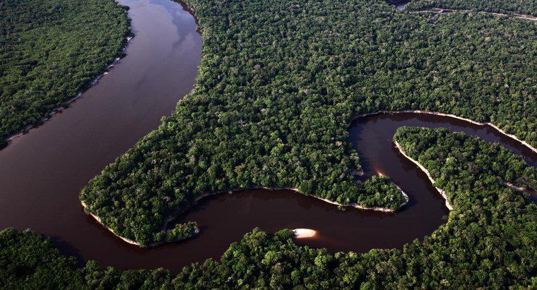 Qual é a largura do rio Amazonas?