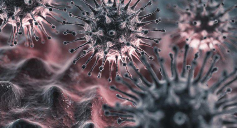 Qual é o período de incubação do vírus da gripe?