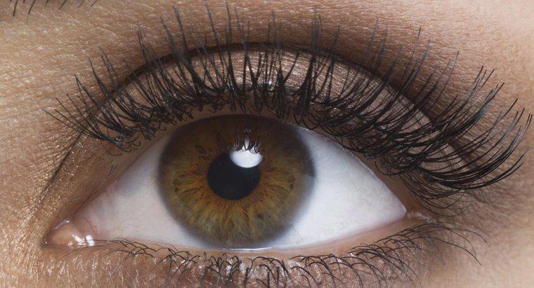 Que porcentagem da população tem olhos castanhos?