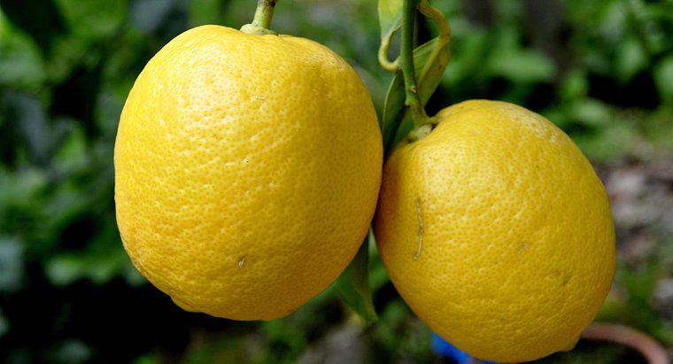 Quanto pesa um limão?