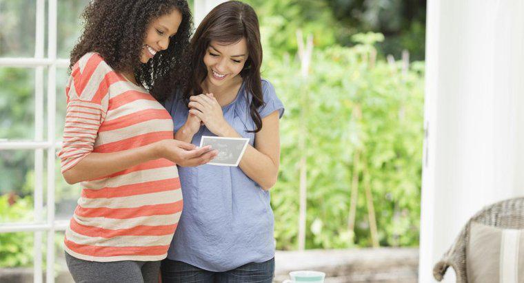 Você pode engravidar uma semana antes da ovulação?